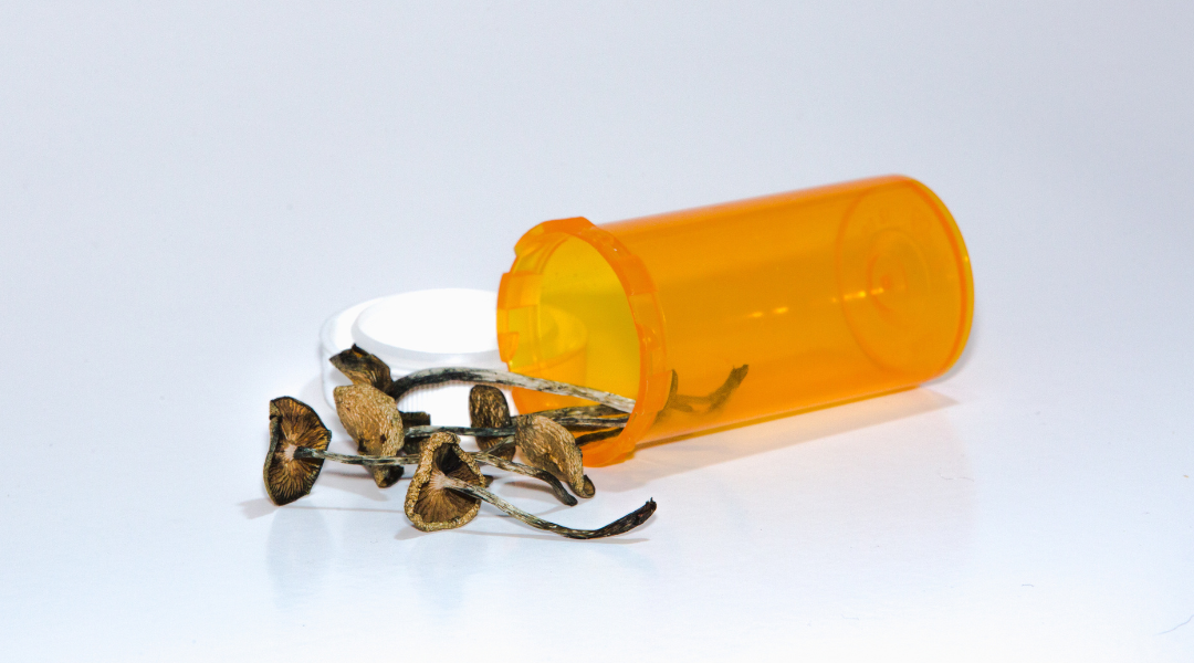 85% of Americans Support Therapeutic Use of Psilocybin
