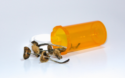 85% of Americans Support Therapeutic Use of Psilocybin
