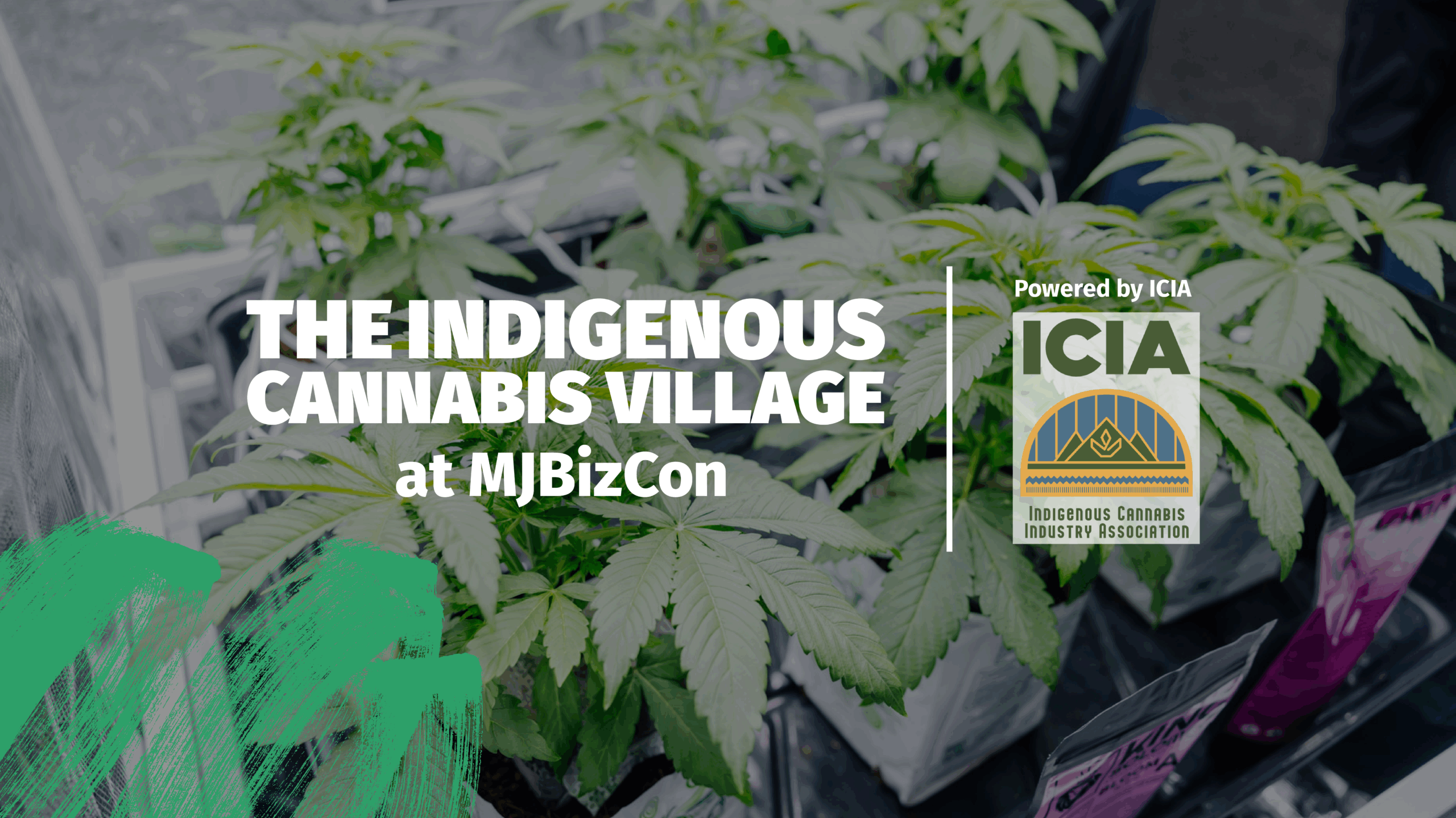 MJBizCon25-web graphics_indigenous Indigenous Cannabis Village at MJBizCon