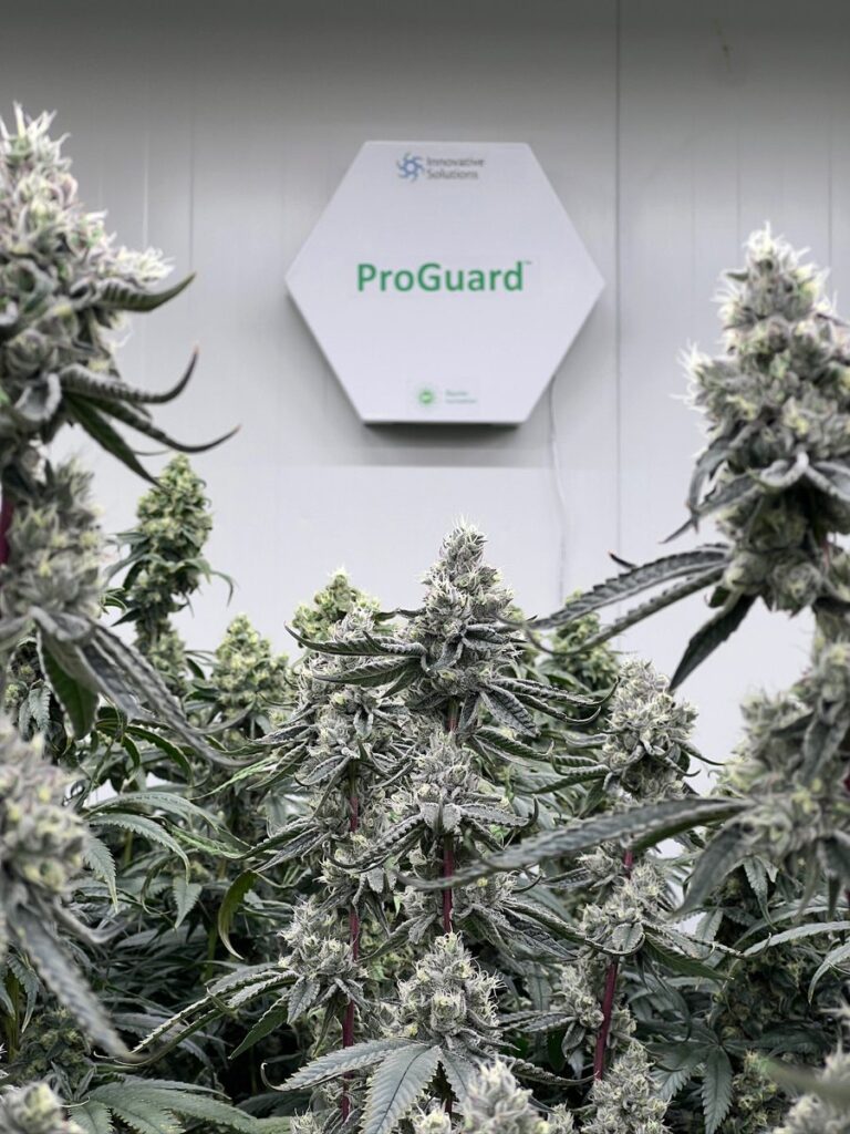 ProGuard Unit Closeup